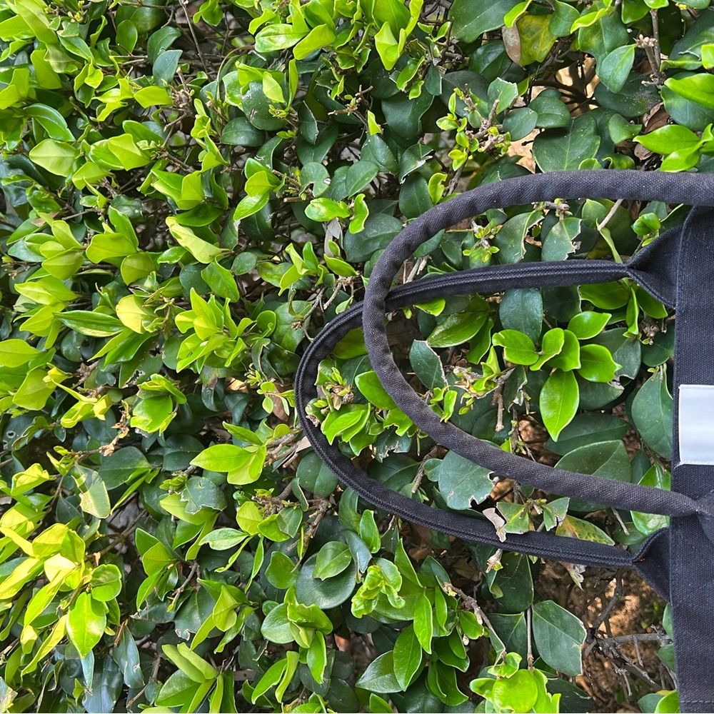 Isabel Marant Black Tote with Multicolor Logo - Picture 6 of 14